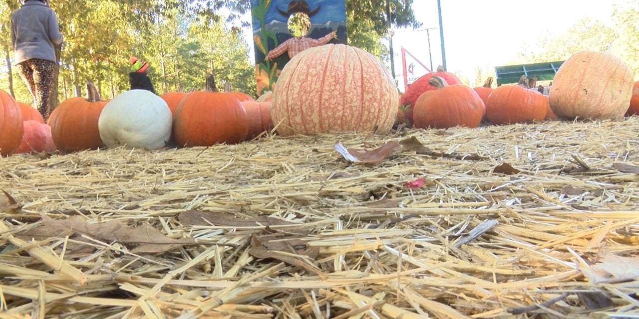 The “Pumpkin Church” fundraiser raises money to help those in need