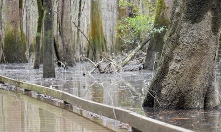 Weekend flood warnings issued for Congaree River