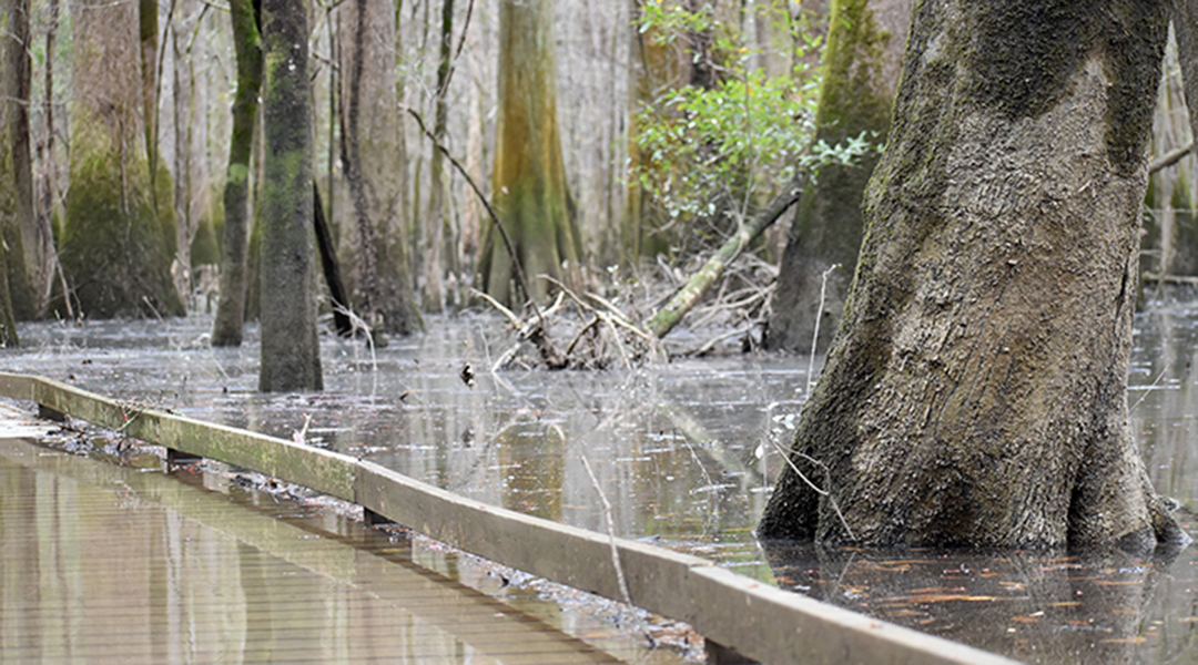 Weekend flood warnings issued for Congaree River