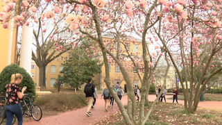 Allergy season arrives in Midlands