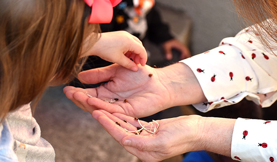 Preschool students learn importance of environment