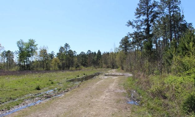 In Clarendon County, a murder unsettles a rural community