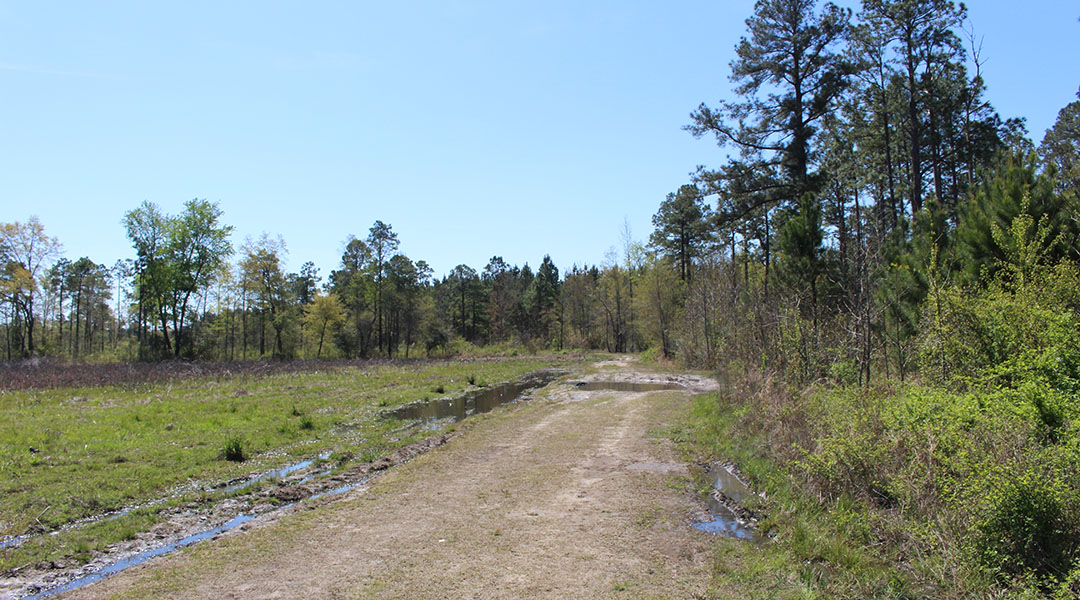 In Clarendon County, a murder unsettles a rural community