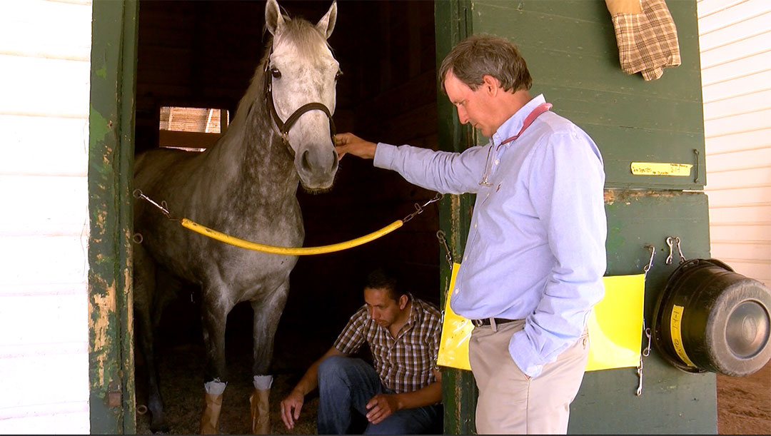 After steeplechase falls, experts examine horse racing safety