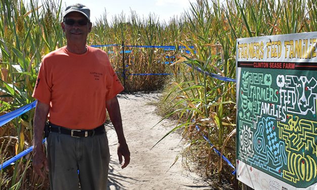 Getting lost in fall fun at a Lexington County corn maze