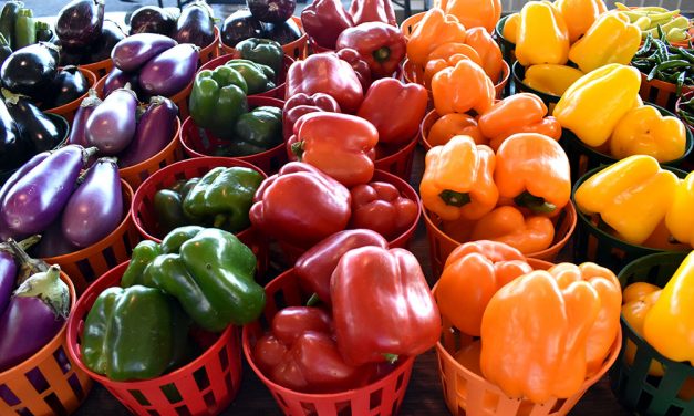 Fall season marks start of new harvest