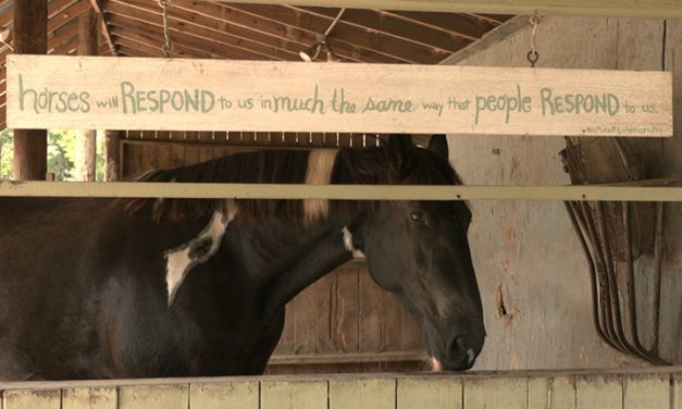 Horses, dogs offer emotional assistance to those facing stress