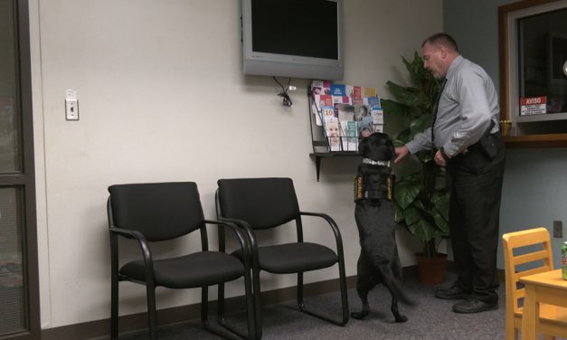 On Queue: Computer-savvy dog sniffs out evidence to convict child abusers