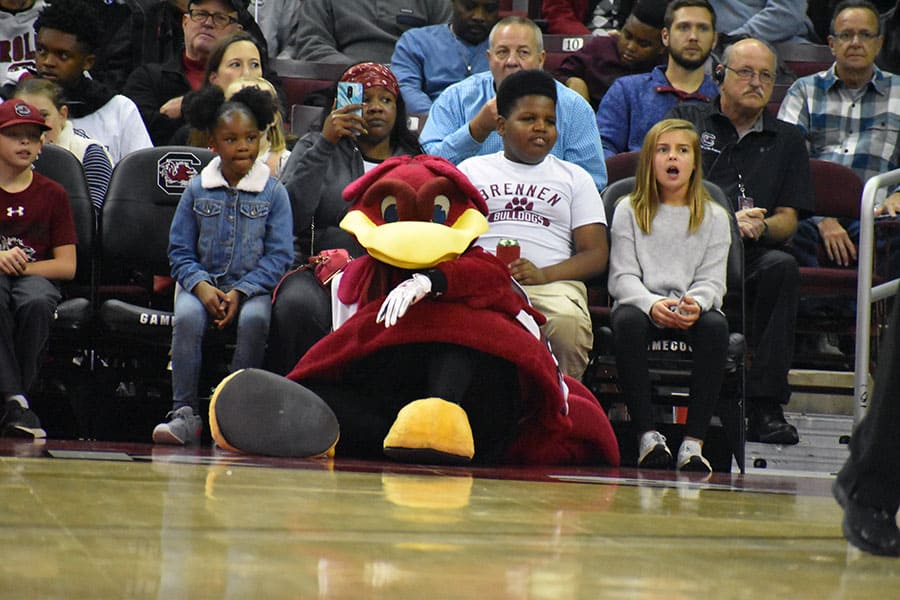 UofSC’s starting five aim to craft winning team