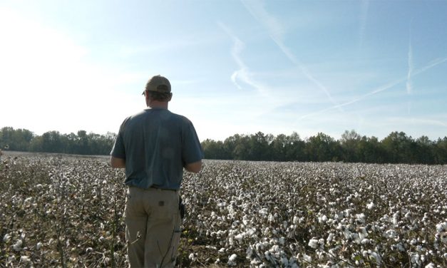 Despite federal aid, South Carolina farmers still struggle