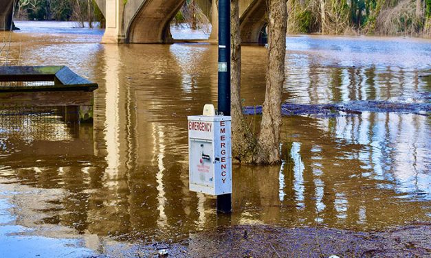 Flood detecting AI system could thwart devastating river damage