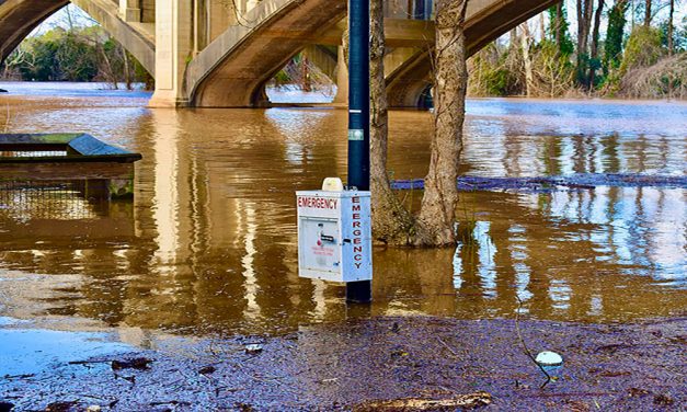 Flood detecting AI system could thwart devastating river damage