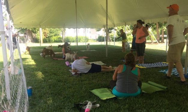 Goat yoga is here to “nama”- stay