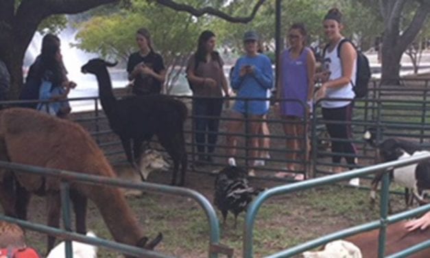 USC petting zoo helping students relieve stress