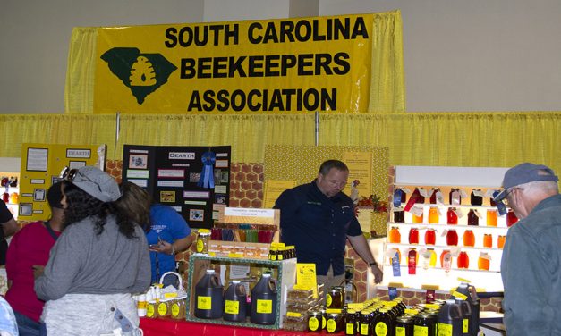 S.C. beekeepers showcase the importance of honeybees
