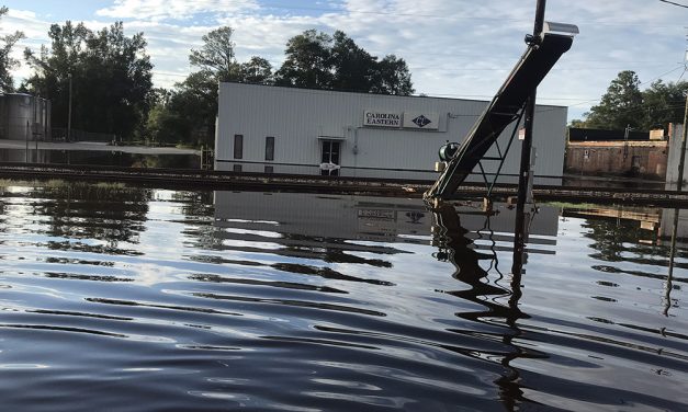 S.C. town pairs with regional council for economic recovery plan after floods