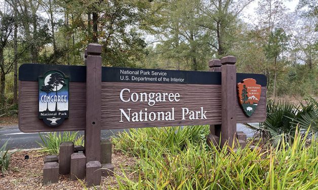 Water/Ways exhibition to open at Congaree National Park