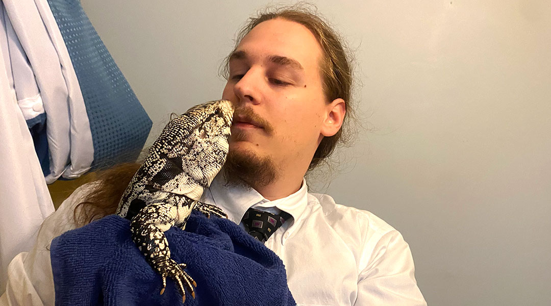 After bathtub odyssey, tegu lizard finds a home