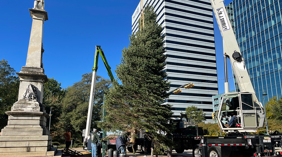 Bye, Bye, Covid Grinch: It’s Christmas tree time at the State House