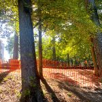 Shade, inclusivity, community biggest focuses for Virginia-Hylton Park renovation
