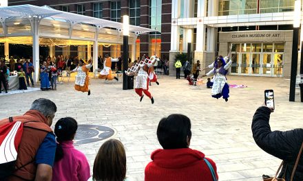 Celebrating Diwali in South Carolina