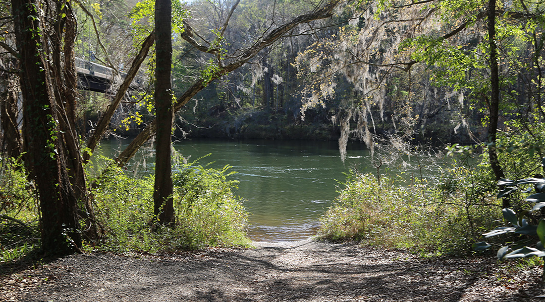 Photo of the river from the Saluda Riverwalk