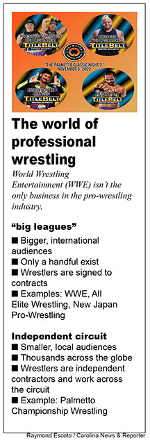 A professional wrestling graphic
