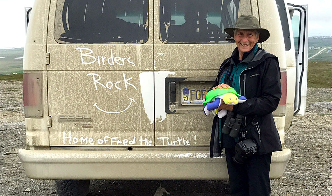 Birding takes to new heights