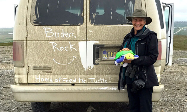 Birding takes to new heights