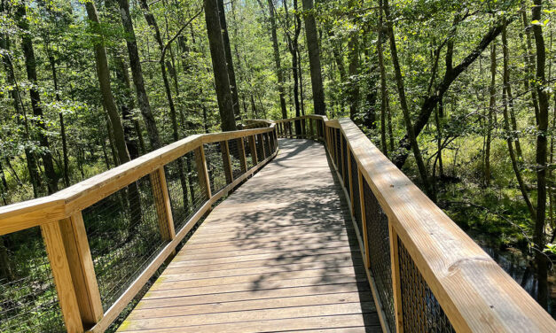 Congaree National Park sets second-highest monthly visitation rate