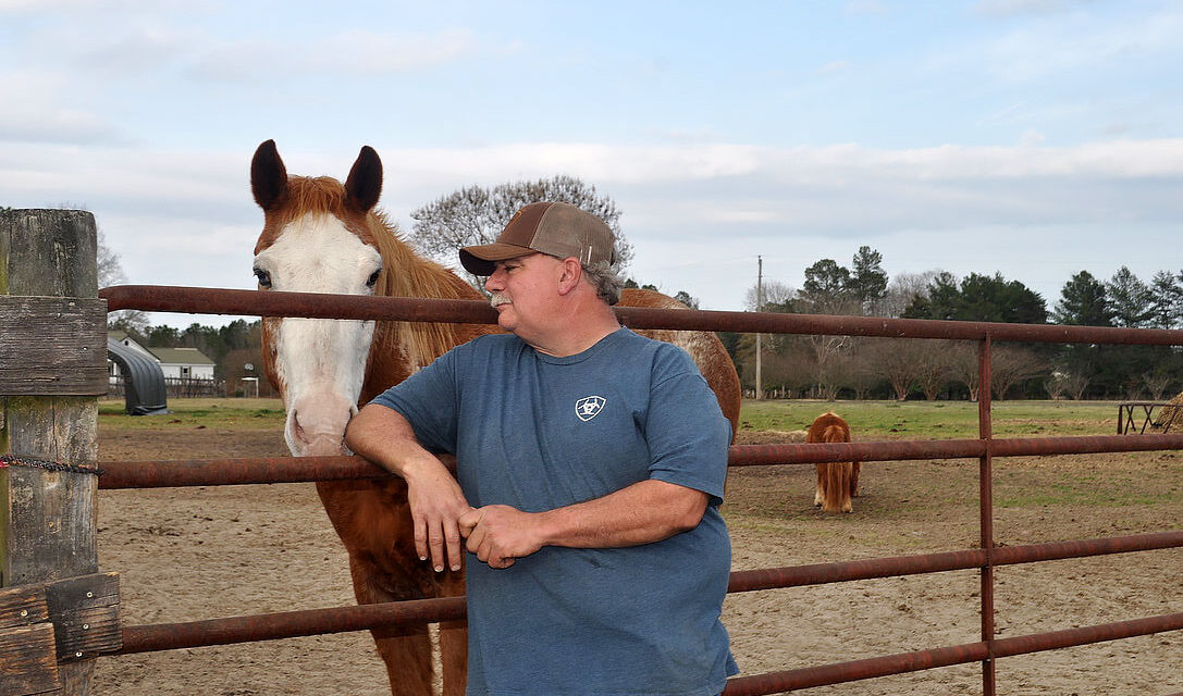 Economy places increased burden on horse owners and rescues