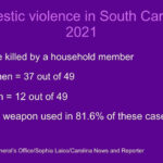 Domestic violence awareness month is here. Why it matters to South Carolina