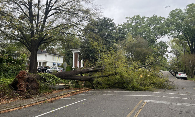 Downtown Columbia residents wake to fallen trees, power outages