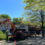 15-year-old trees cut down for new concrete median in Five Points