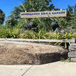 Riverbanks Zoo remembers past, looks toward future