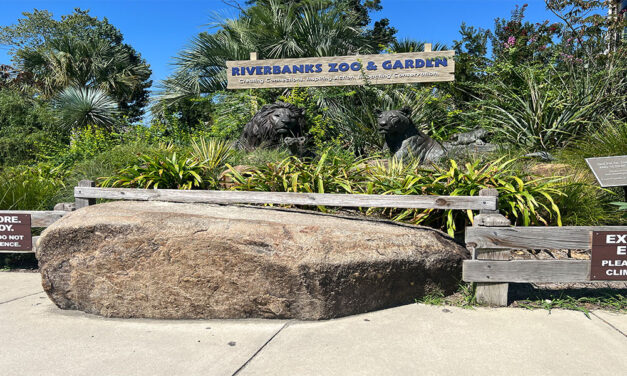 Riverbanks Zoo remembers past, looks toward future