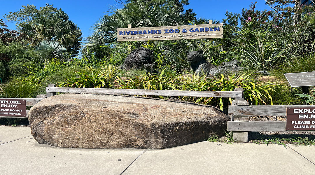 Riverbanks Zoo remembers past, looks toward future