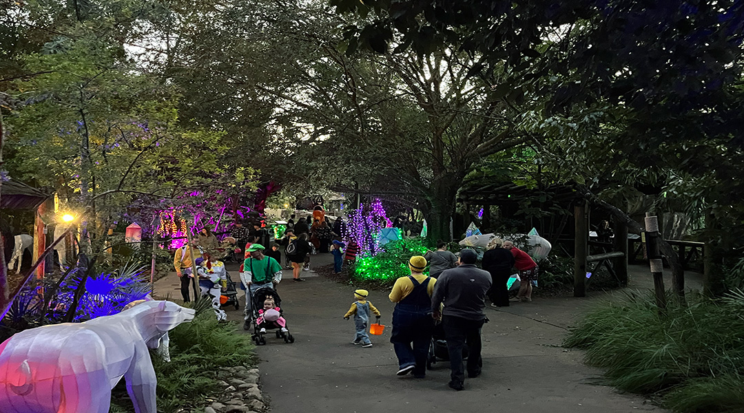 Get your ‘Boo’ on: Annual Riverbanks Zoo event returns for another October