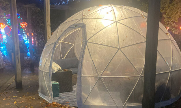 Igloo rentals come to Riverbanks Zoo