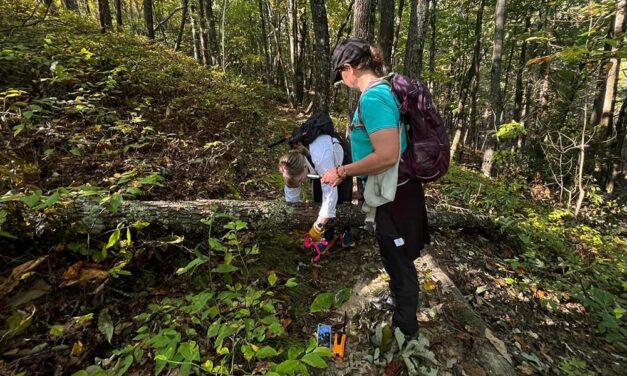 Women work to clear trail after hurricane: ‘It’s the best thing ever’