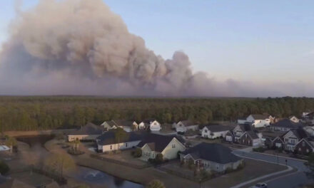 Impacts of South Carolina wildfires felt statewide