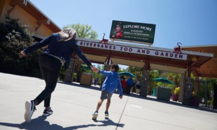 Sky ride construction underway at Riverbanks Zoo