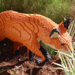 Nature Connects aims to bring greater understanding of natural world to Riverbanks