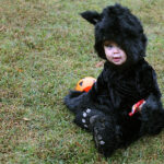 Community comes together for Historic Columbia’s Trunk or Treat tradition