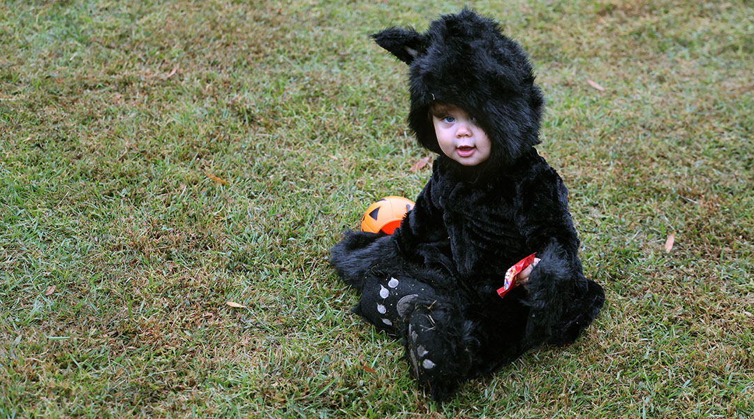 Community comes together for Historic Columbia’s Trunk or Treat tradition