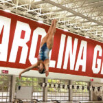 Local diving talent is picking up world titles