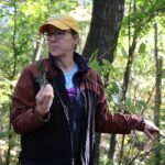 USC nature preserve aids well-being and wildlife, while reducing global warming
