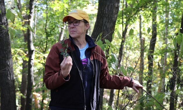 USC nature preserve aids well-being and wildlife, while reducing global warming