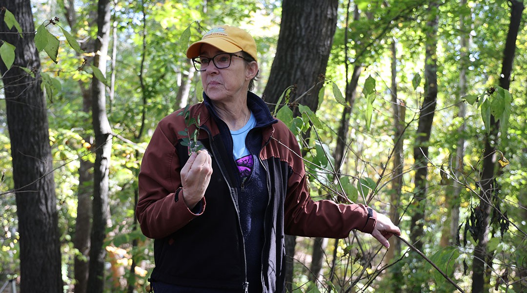 USC nature preserve aids well-being and wildlife, while reducing global warming