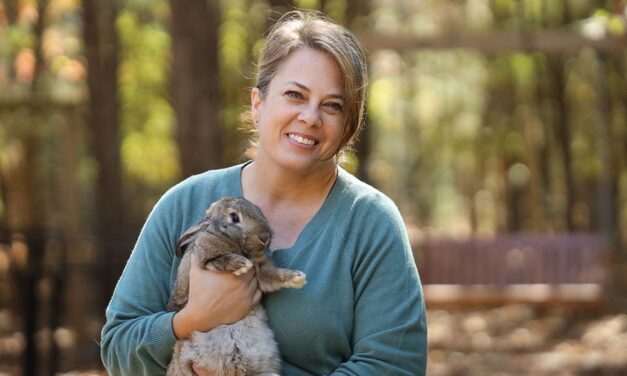 ‘The biggest misconception is that they’re just rabbits’